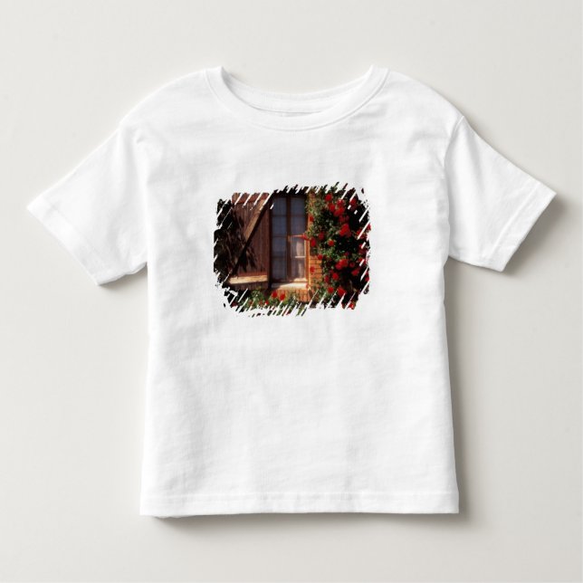 Camiseta Infantil EU, França, Provença, Vaucluse, Apt.Casa (Frente)