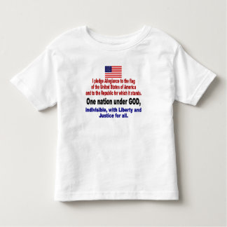 Camiseta Infantil Eu prometo a fidelidade à bandeira
