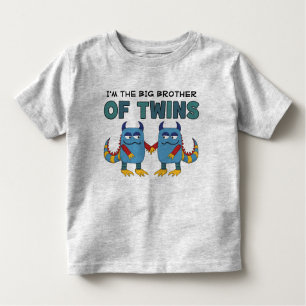 Camiseta Infantil Eu sou o big brother dos gêmeos