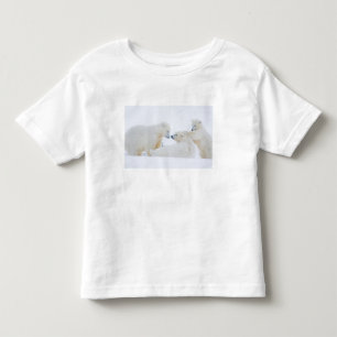 Camiseta Infantil EUA, Alasca, 1002 Planície Costeira do Ártico