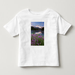 Camiseta Infantil EUA, Alasca, Deserto de Alsek-Tatshenshini.