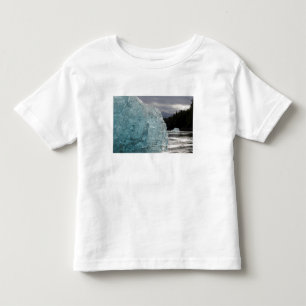 Camiseta Infantil EUA, Alasca, Floresta Nacional Tongass, Tracy 2