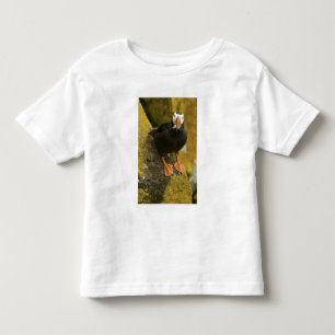 Camiseta Infantil EUA, Alasca, Ilhas Pribilof, St Paul. Tufted