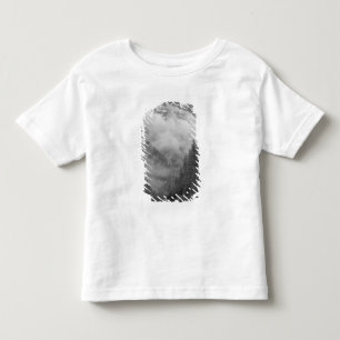 Camiseta Infantil EUA, Alasca, Juneau, Floresta tropical cobre fiord