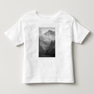 Camiseta Infantil EUA, Alasca, Juneau, Floresta tropical cobre fiord