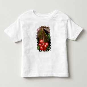 Camiseta Infantil EUA, Alasca, Parque Nacional Denali. Detalhe de