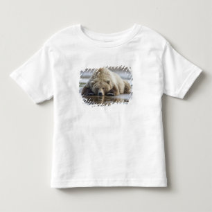 Camiseta Infantil EUA, Alasca, Parque Nacional Katmai, Urso Pardo