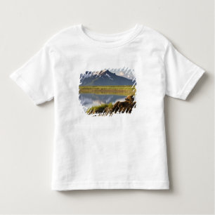 Camiseta Infantil EUA, Alasca, Parque Nacional Katmai, Ursos Castanh