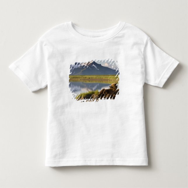 Camiseta Infantil EUA, Alasca, Parque Nacional Katmai, Ursos Castanh (Frente)
