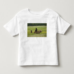 Camiseta Infantil EUA, Alasca, Parque Nacional Lake Clark