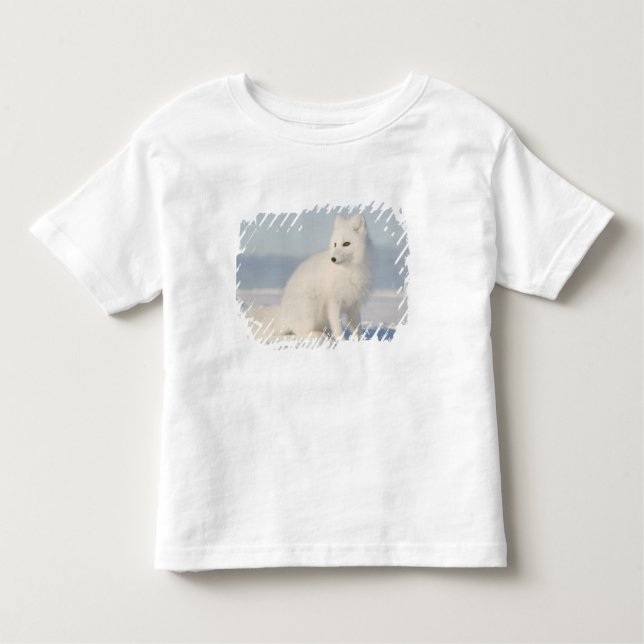 Camiseta Infantil EUA, Alasca, Planície Costeira do Ártico 5, 1002 (Frente)