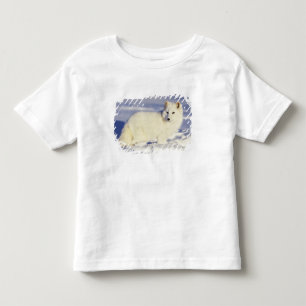 Camiseta Infantil EUA, Alasca. Raposa ártica com pelagem de inverno
