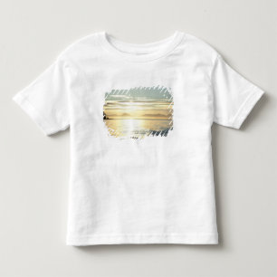 Camiseta Infantil EUA, Alasca, sudeste perto de Ketchikan, pôr do so