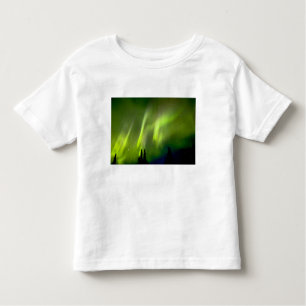 Camiseta Infantil EUA, Alaska, Chena Hot Primaveras.Aurora 3