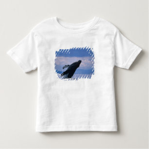 Camiseta Infantil EUA, Alaska, Floresta Nacional de Tongass, Humpbac