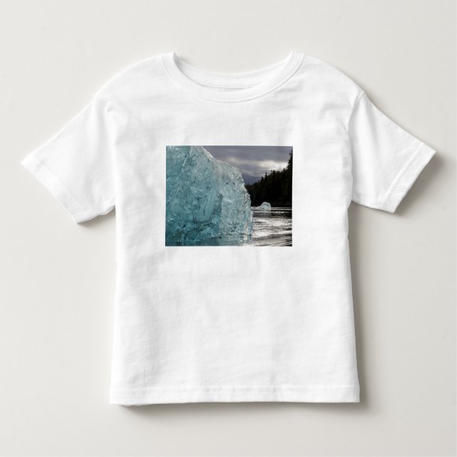 Camiseta Infantil EUA, Alaska, Floresta Nacional Tongass, Tracy 2 (Frente)