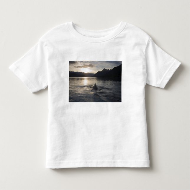Camiseta Infantil EUA, Alaska, Glacier Bay National Park, (Frente)