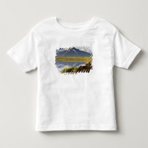 Camiseta Infantil EUA, Alaska, parque nacional de Katmai, ursos de