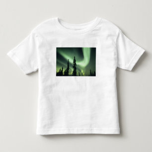 Camiseta Infantil EUA, área de Fairbanks, Alaska Central, Aurora 2