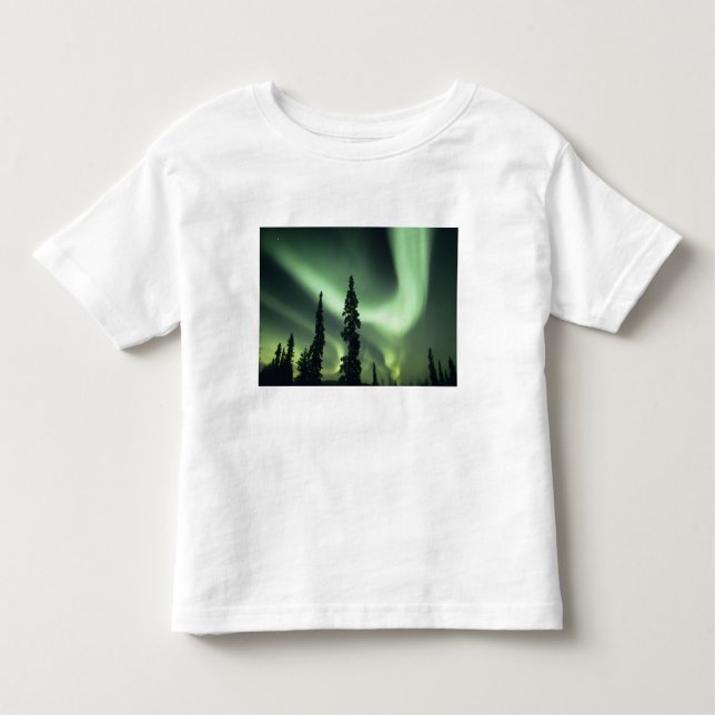 Camiseta Infantil EUA, área de Fairbanks, Central Alaska, Aurora 2 (Frente)