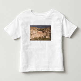 Camiseta Infantil EUA, Arizona, Camp Verde: Castelo de Montezuma