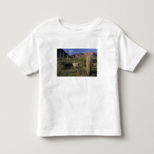 Camiseta Infantil EUA, Arizona, Monumento Nacional Organ Pipe.