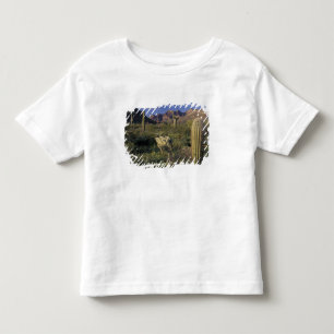Camiseta Infantil EUA, Arizona, Monumento Nacional Organ Pipe.