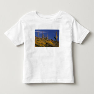 Camiseta Infantil EUA, Arizona, Organ Pipe Cactus National 2
