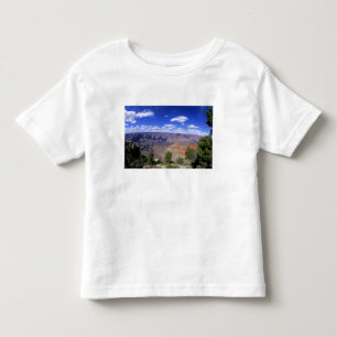 Camiseta Infantil EUA, Arizona, Parque Nacional do Grand Canyon, Sul