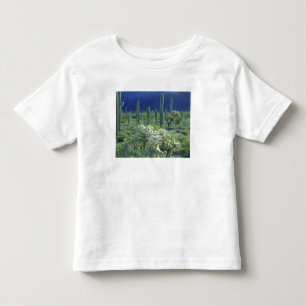 Camiseta Infantil EUA, Arizona, Parque Nacional Organ Pipe Cactus