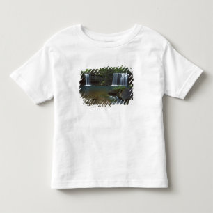 Camiseta Infantil EUA, Arkansas, Ozark- St Francis Nacional