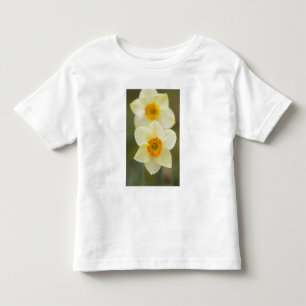 Camiseta Infantil EUA, Arlington, Virgínia, close-up do branco