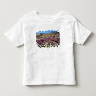 Camiseta Infantil EUA, Califórnia, Anza-Borrego DSP. Duna ao anoitec