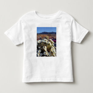Camiseta Infantil EUA, Califórnia, Anza-Borrego DSP. Dune evening 2