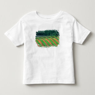 Camiseta Infantil EUA, Califórnia, Condado de Mendocino, uma emparre