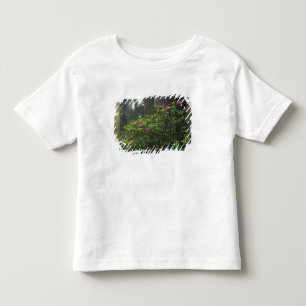 Camiseta Infantil EUA, Califórnia, Del Norte, Parque Estadual das Se