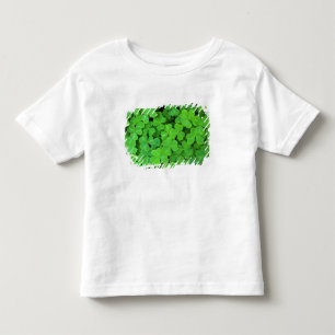 Camiseta Infantil EUA, Califórnia, Jedediah Smith Rewood SP.