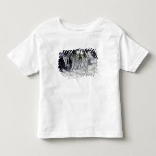 Camiseta Infantil EUA, Califórnia, Lago Tahoe. Pingentes de gelo sob