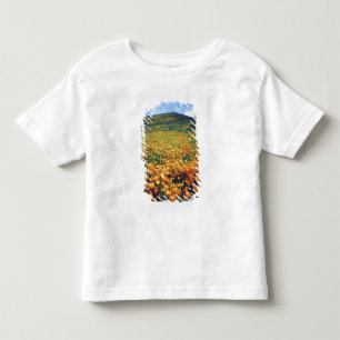Camiseta Infantil EUA, Califórnia, Lake Elsinore. Califórnia