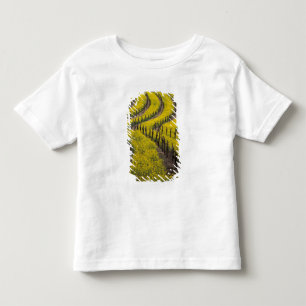 Camiseta Infantil EUA, Califórnia, Napa Valley, Los Carneros Ava.