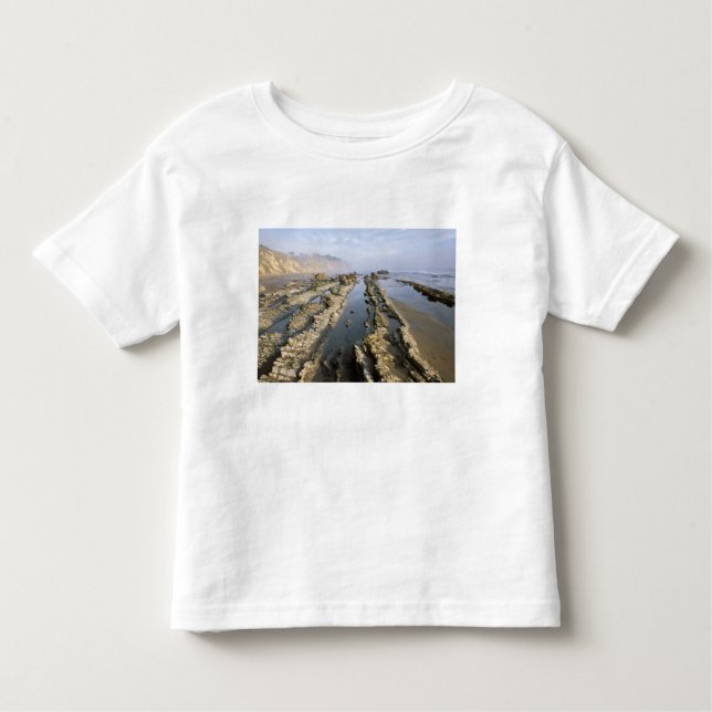 Camiseta Infantil EUA, Califórnia, Papais noeis Barbara, praia de He (Frente)