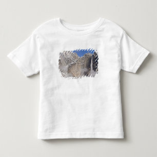 Camiseta Infantil EUA, Califórnia, Parque Nacional de Yosemite.