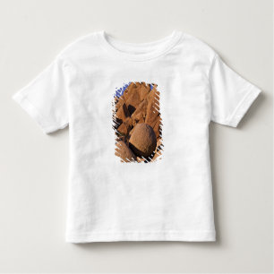 Camiseta Infantil EUA, Califórnia, Parque Nacional Joshua Tree.