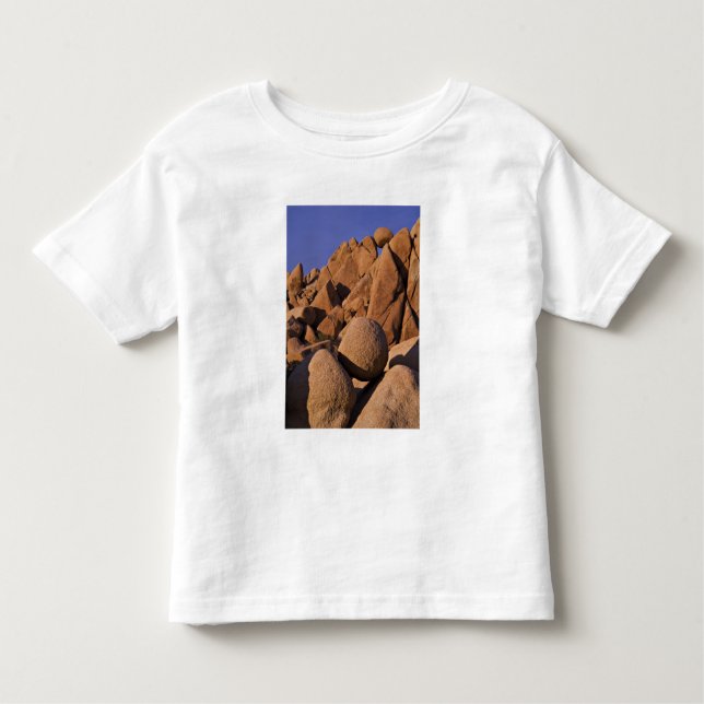 Camiseta Infantil EUA, Califórnia, Parque Nacional Joshua Tree. (Frente)