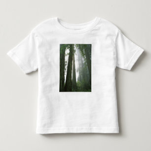 Camiseta Infantil EUA, Califórnia, Parque Nacional Redwood,