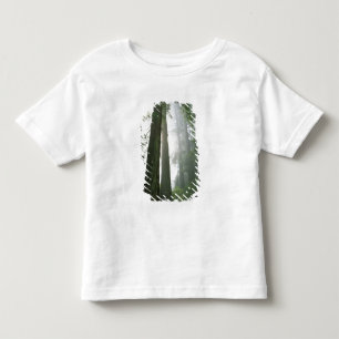 Camiseta Infantil EUA, Califórnia, Parque Nacional Redwood.