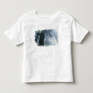 Camiseta Infantil EUA, Califórnia, Parque Nacional Redwood, Del