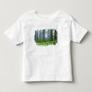 Camiseta Infantil EUA, Califórnia, PN Redwood. Árvores Redwood