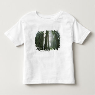 Camiseta Infantil EUA, California, Redwood National Park, 2