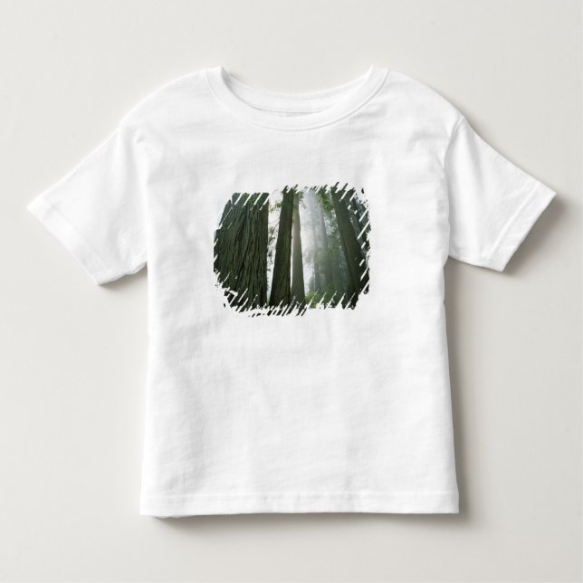Camiseta Infantil EUA, California, Redwood National Park, 2 (Frente)